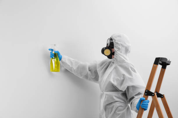 Forensic Mold Investigation in Country Clu, FL